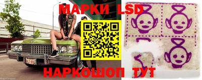 прущие крисы Новозыбков