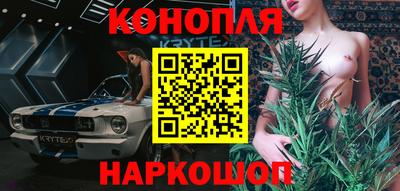 прущие крисы Новозыбков