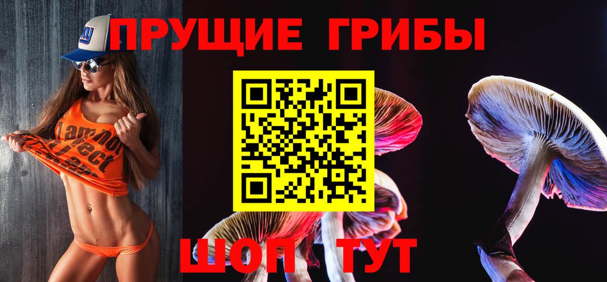 купить  цена  Псилоцибиновые грибы GOLDEN TEACHER  Вход с VPN  Псилоцибиновые грибы Cubensis  Улан-Удэ 